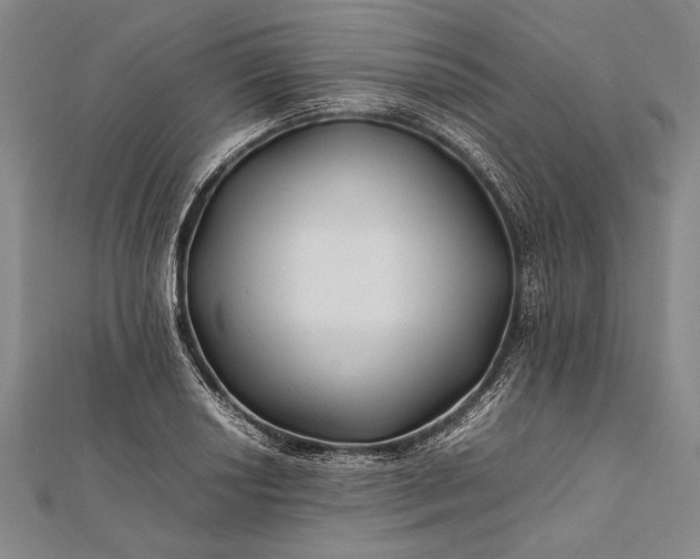 X0000112371034200908271313