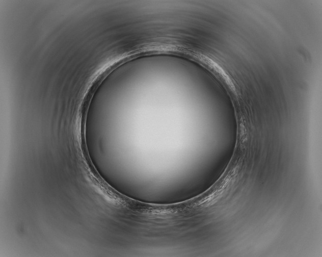 X0000112371035200908271313