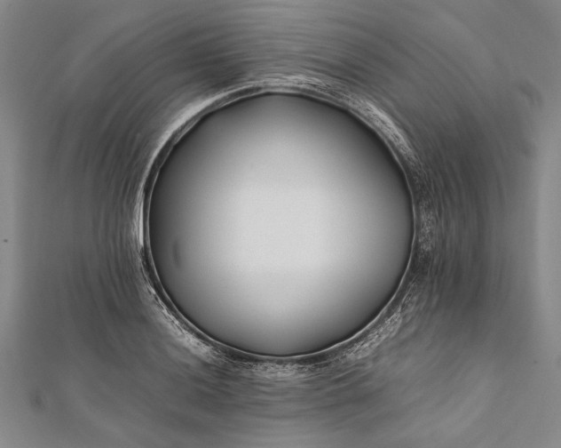 X0000112371036200908271313