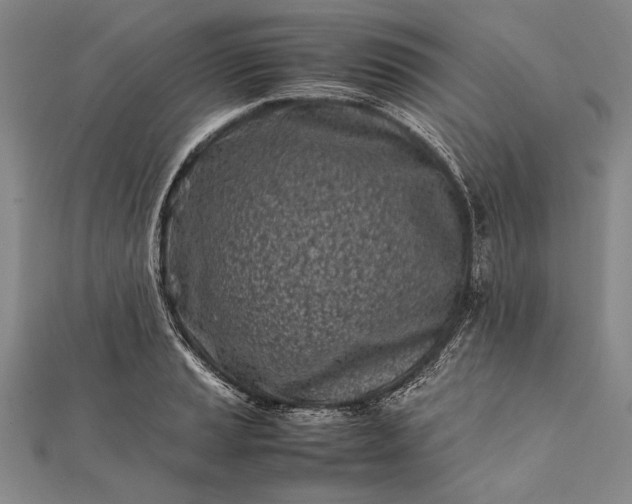 X0000112371037200908271313