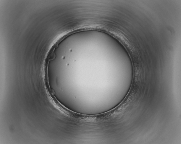 X0000112371038200908271313