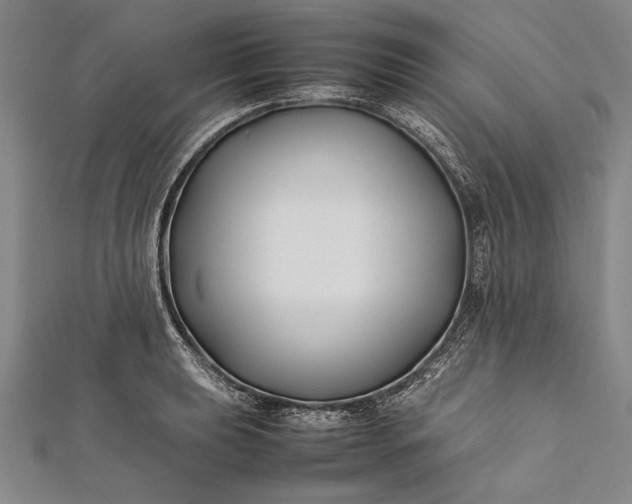 X0000112371039200908271313