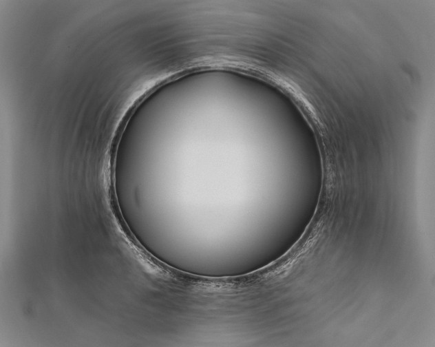 X0000112371040200908271313