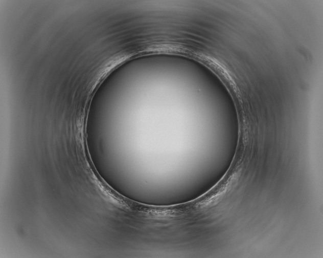 X0000112371041200908271313