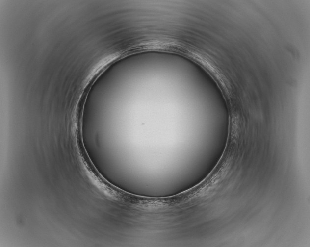 X0000112371042200908271313