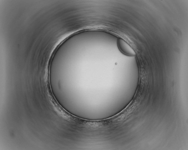 X0000112371044200908271313