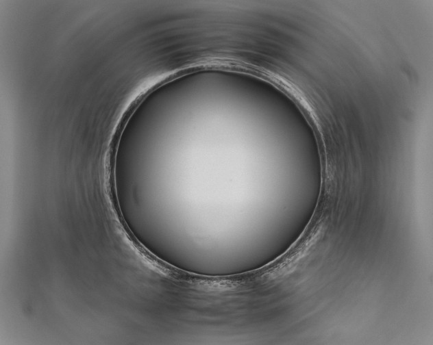 X0000112371045200908271313