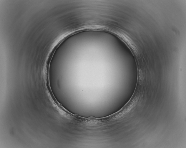 X0000112371046200908271313