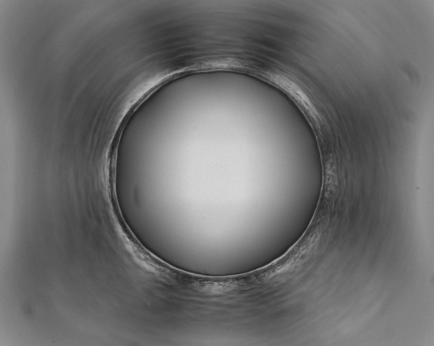 X0000112371047200908271313