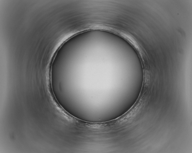 X0000112371048200908271313