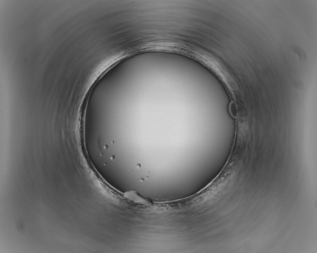 X0000112371050200908271314