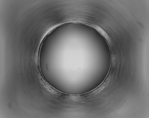 X0000112371052200908271314