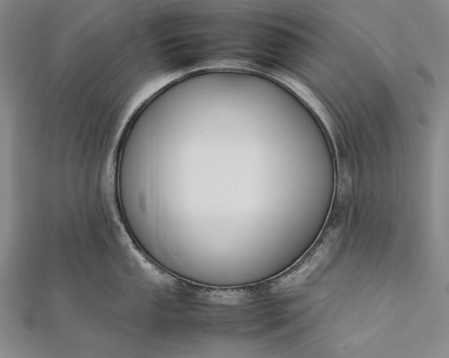 X0000112371053200908271314