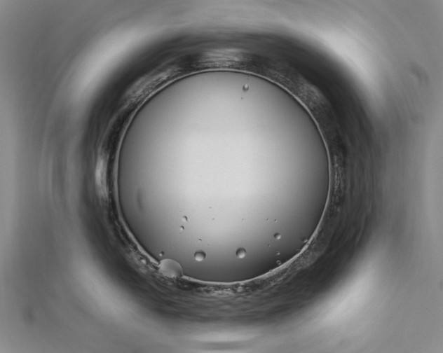 X0000112371054200908271314