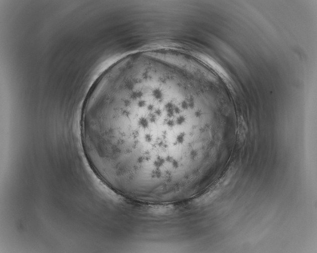 X0000112371055200908271314