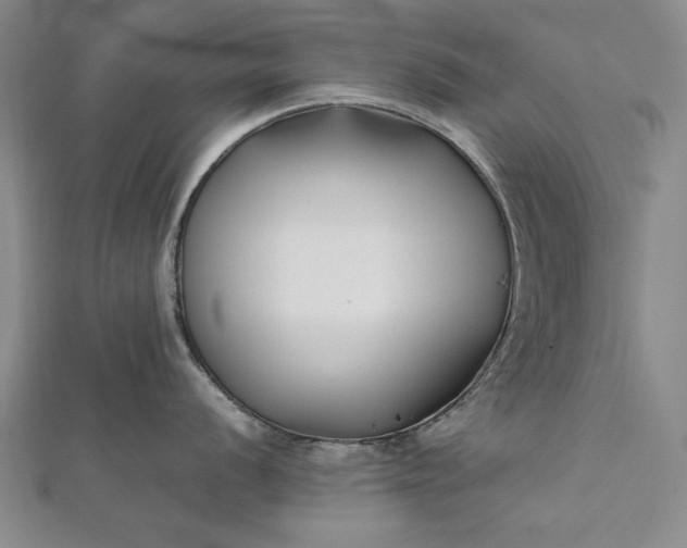 X0000112371056200908271314