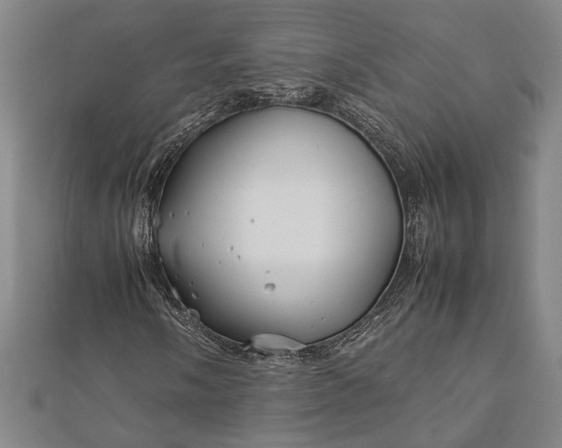 X0000112371058200908271313