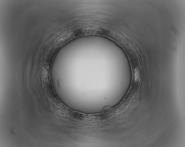 X0000112371059200908271313