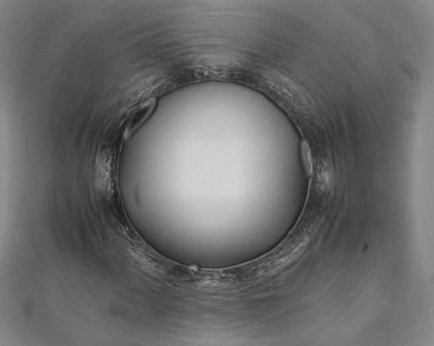 X0000112371060200908271313