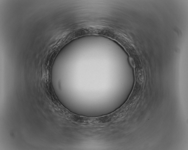 X0000112371061200908271313