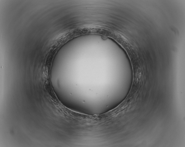 X0000112371062200908271313