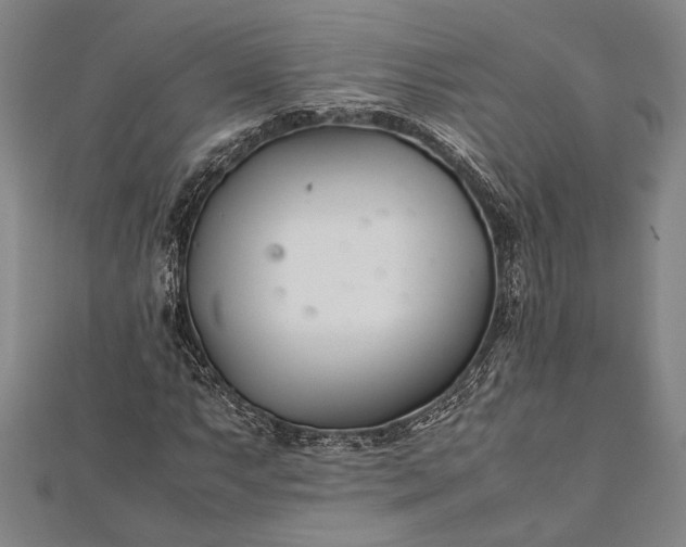 X0000112371063200908271313