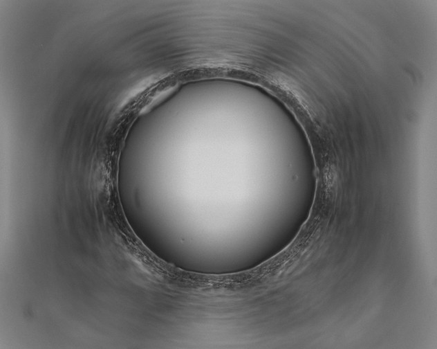 X0000112371064200908271313