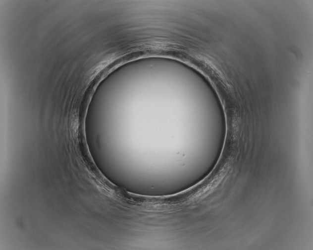 X0000112371065200908271313