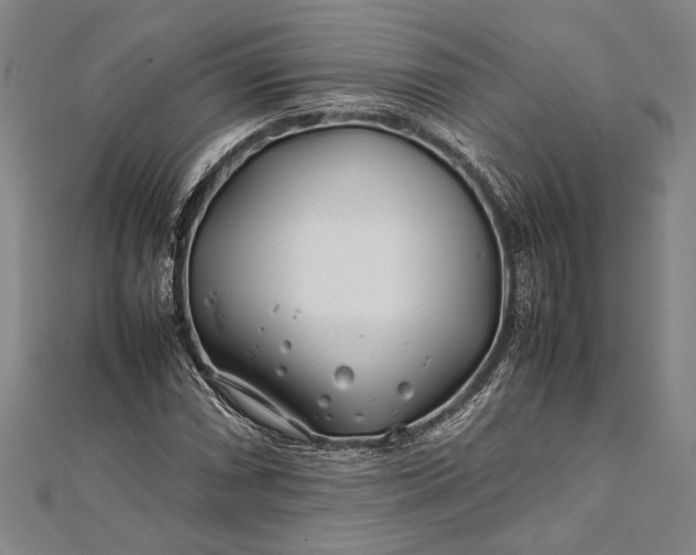 X0000112371066200908271313