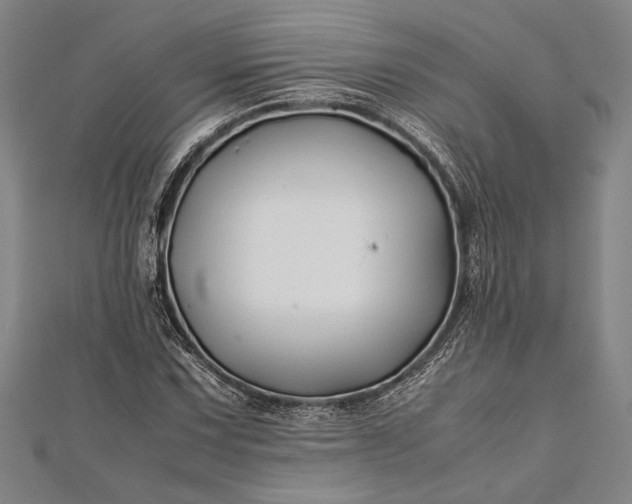 X0000112371067200908271313