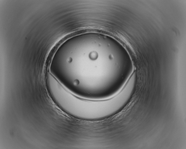 X0000112371068200908271313