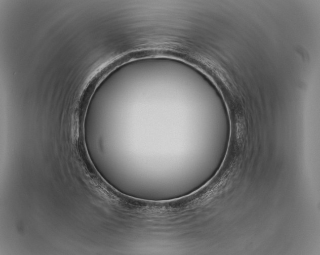 X0000112371069200908271313