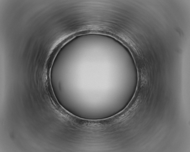 X0000112371070200908271313