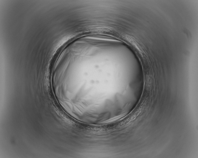 X0000112371071200908271313