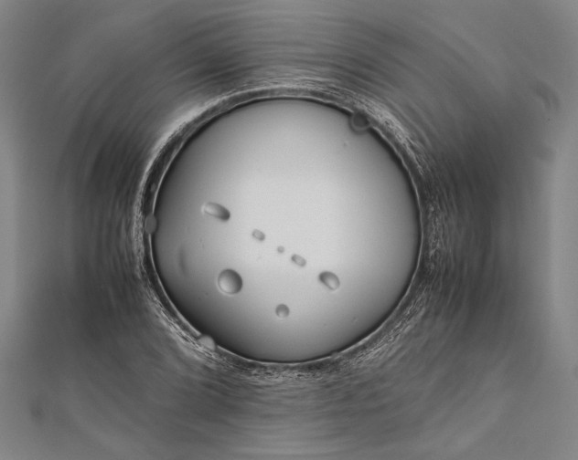 X0000112371072200908271313