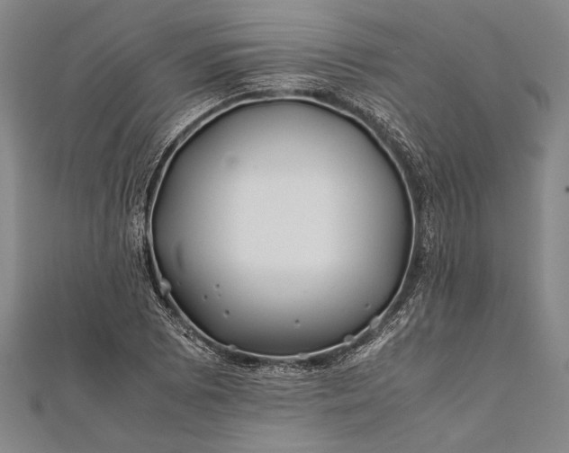 X0000112371073200908271313