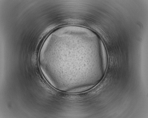 X0000112371074200908271313