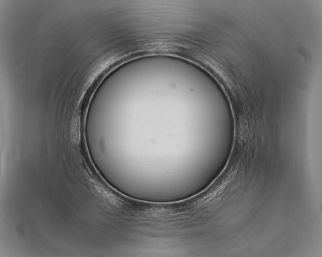 X0000112371075200908271313