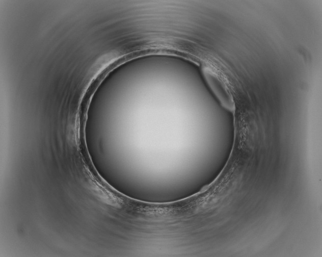 X0000112371076200908271313