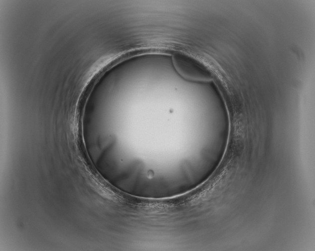 X0000112371077200908271313