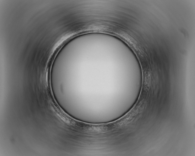 X0000112371078200908271313