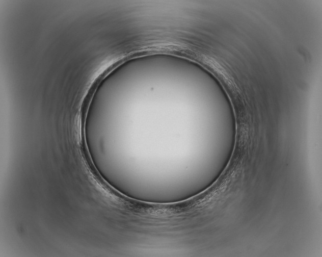 X0000112371079200908271313