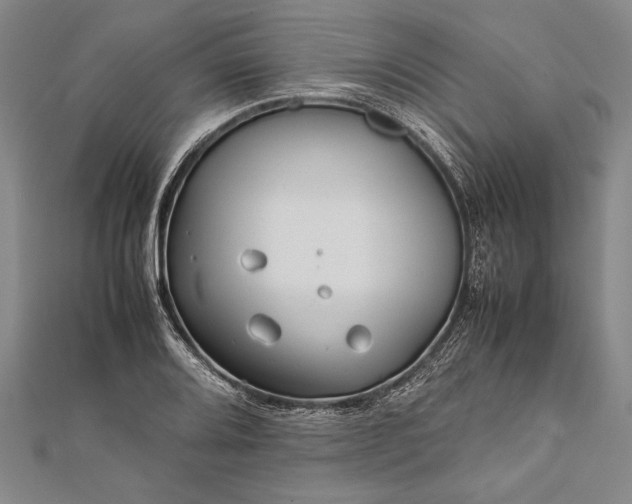 X0000112371080200908271313