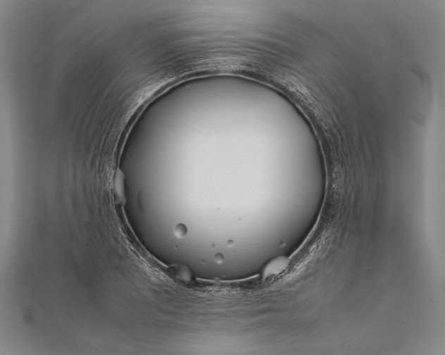 X0000112371081200908271312