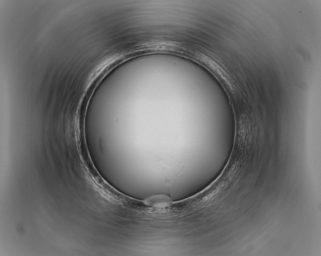 X0000112371082200908271312