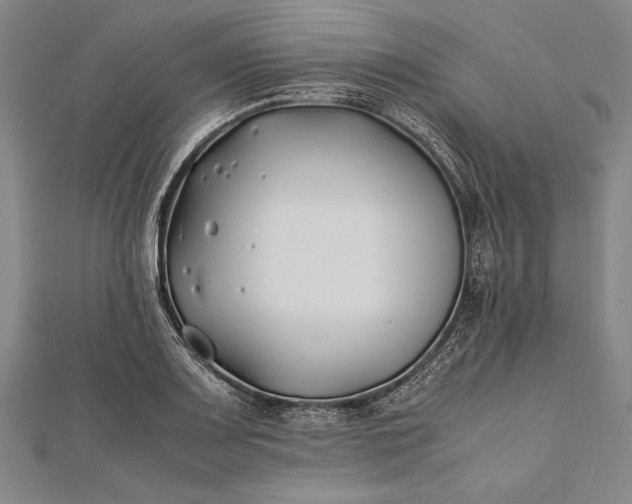 X0000112371083200908271312