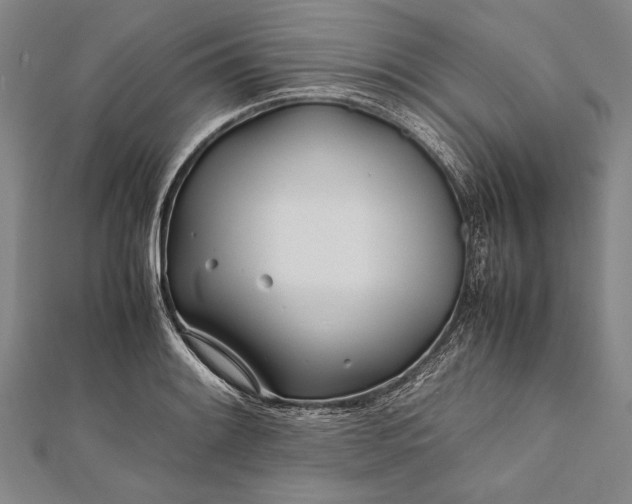 X0000112371084200908271312