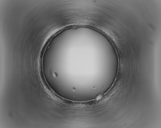 X0000112371085200908271312