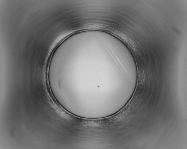 X0000112371086200908271312