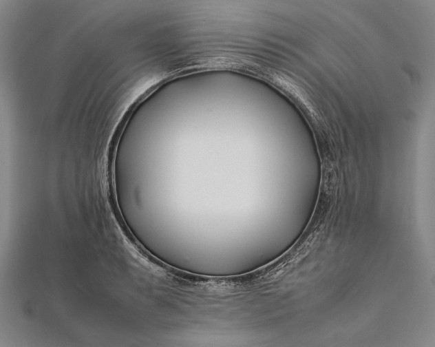 X0000112371087200908271312